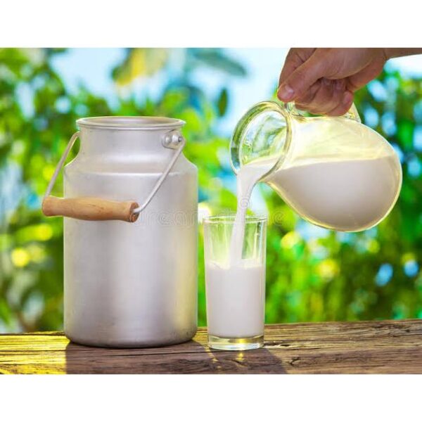Cow Milk 500ML