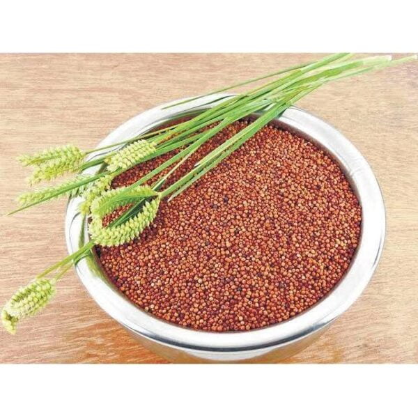 Ragi (500g)