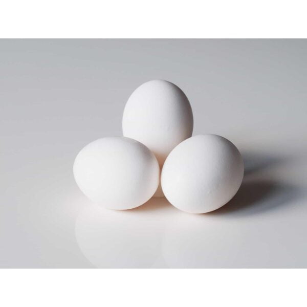 Egg (6)