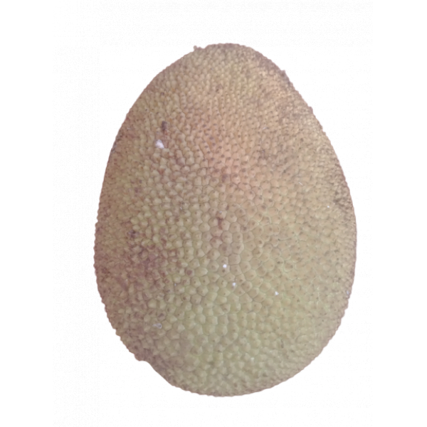 Jackfruit (Small Size Per Piece) - Image 2