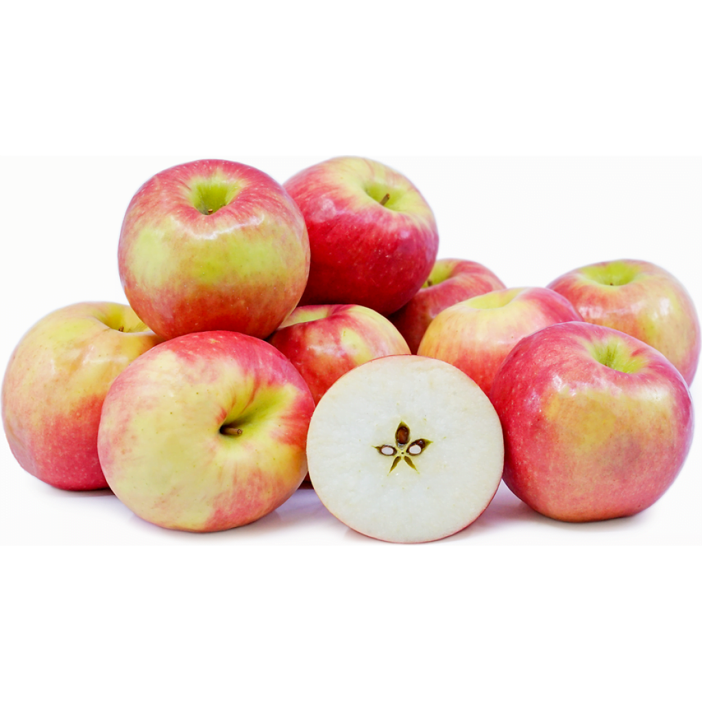 Apple Pink Lady