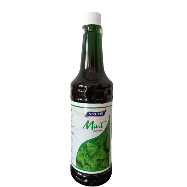 Shadab Mint (Pudina Masala 750ML)