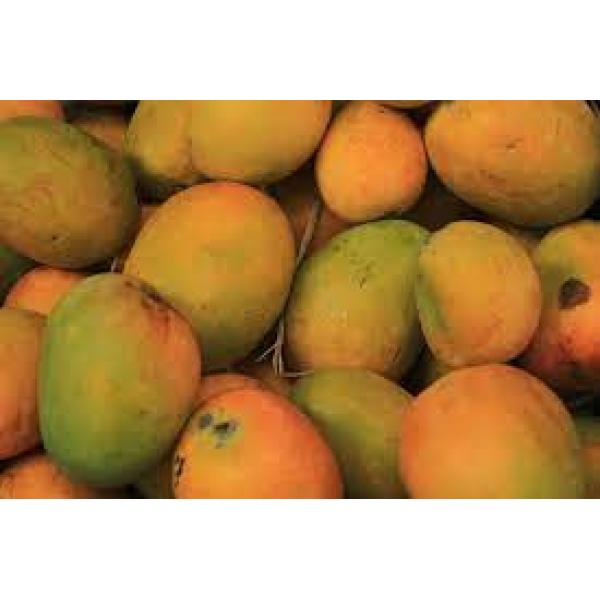 Malbar Mango