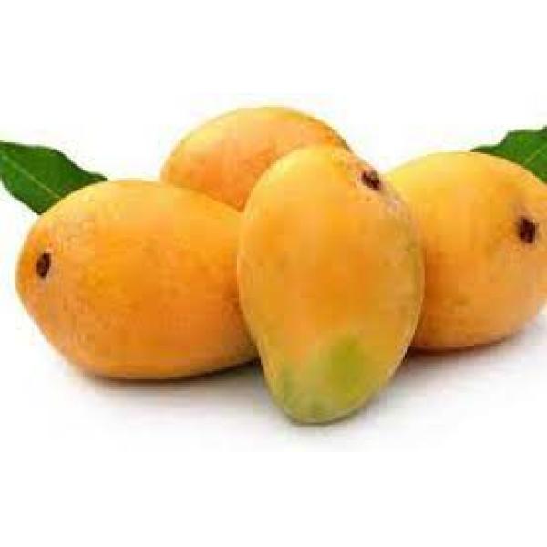 Baigan Palli Mango