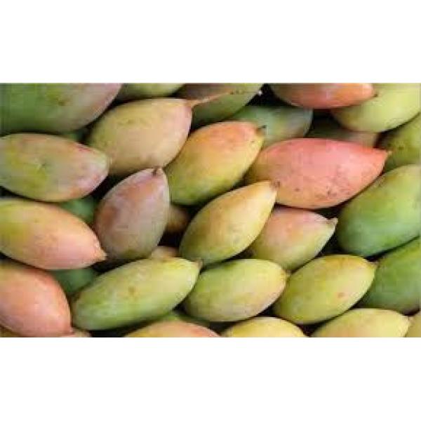 Kaccha Mango Totapari