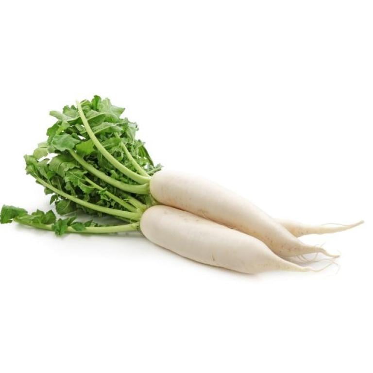 Radish / White Radish