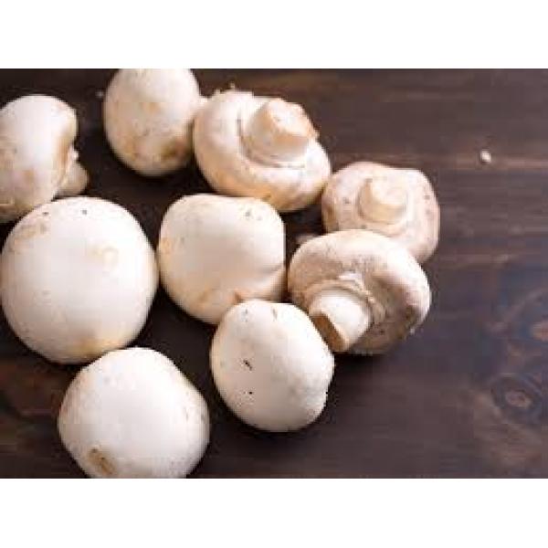 Mushroom 1 Kg
