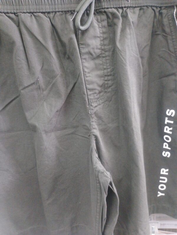 Boxer - Image 2