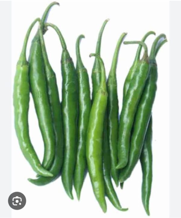 Hari mirch/Green chilli