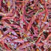 Patana Mirchi