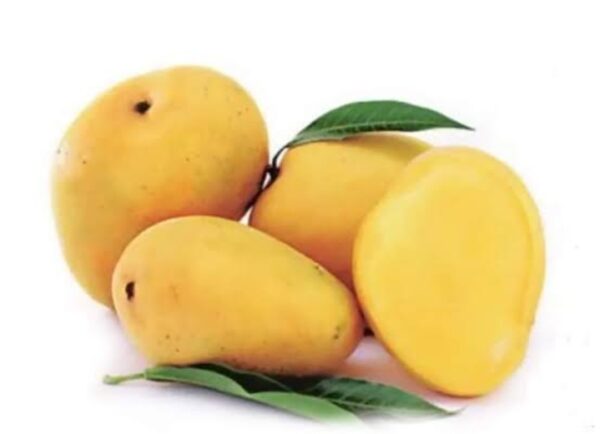 Badami Mango