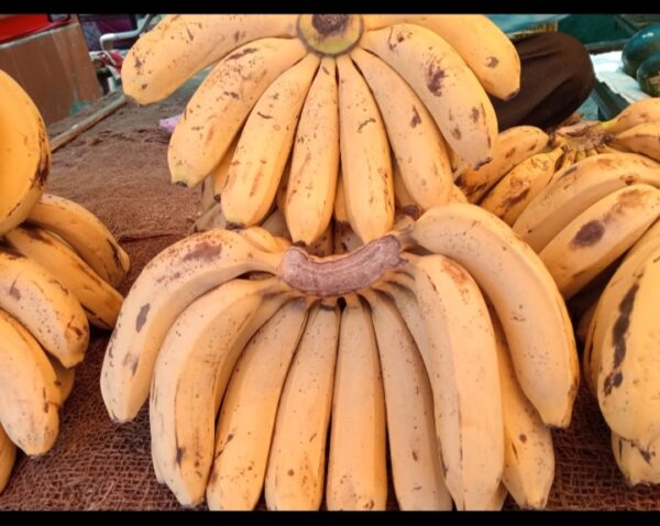 Kela