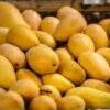 Sfeda Mango - Image 2