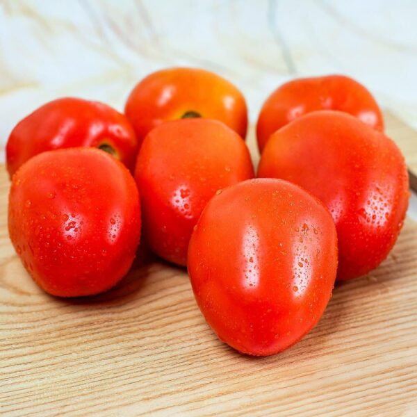 Tomato