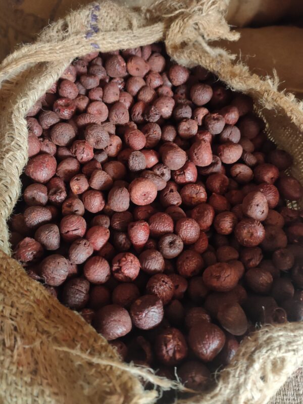 Arecanut(supari)