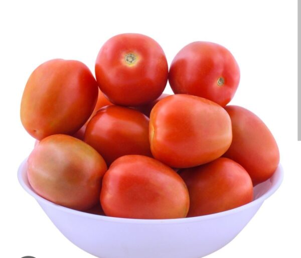 Tamatr
