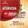 DABUR RED AYURVEDIC TOOTHPASTE - Image 4