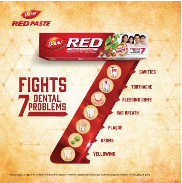 DABUR RED AYURVEDIC TOOTHPASTE - Image 3