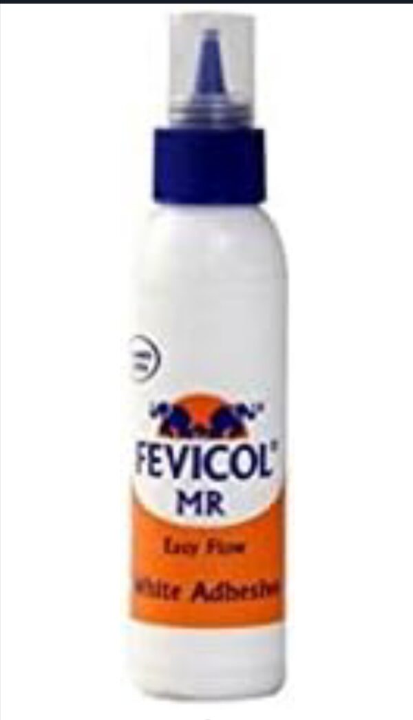 FEVICOL MR SQUEEZE 50 GMS