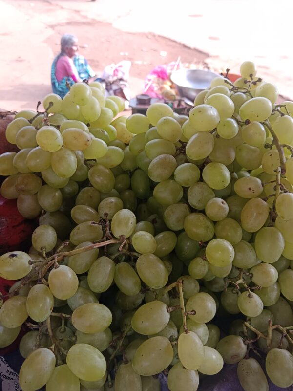 Big Grapes(Giants grapes) - Image 3
