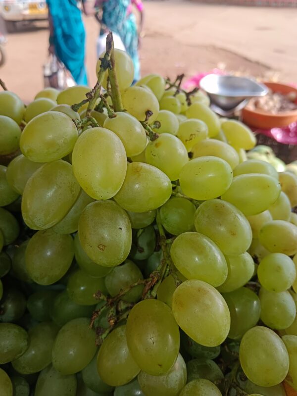 Big Grapes(Giants grapes) - Image 2