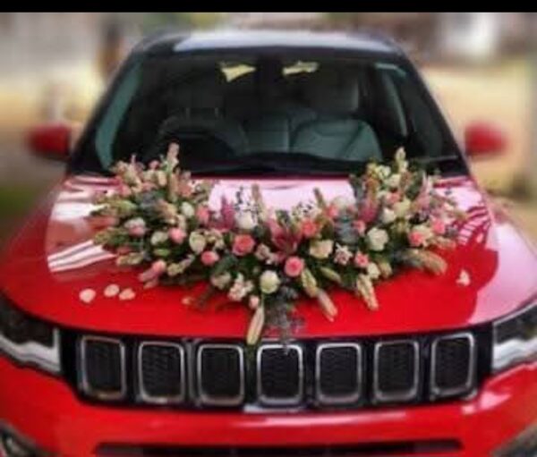 Weeding car - Image 2