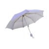Umbrella citizen