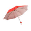 Umbrella citizen - Image 2