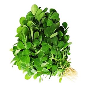 Fenugreek Leaves ( methi bhaji )