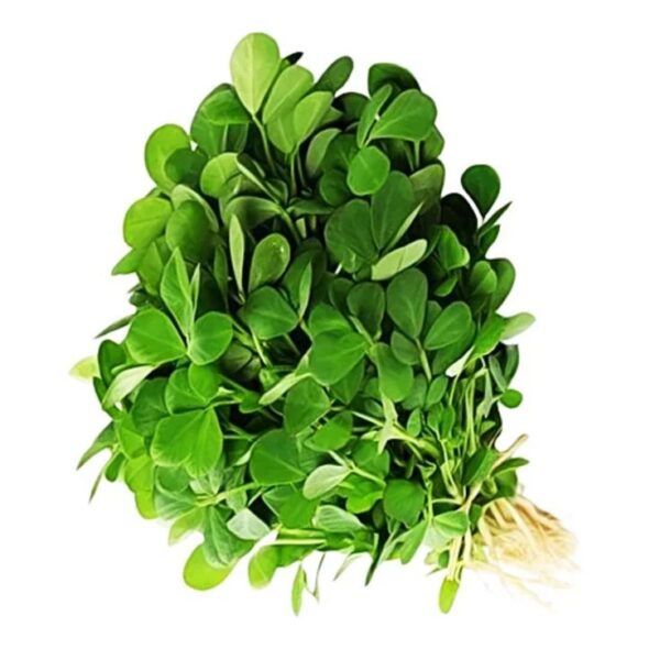 Fenugreek Leaves ( methi bhaji )