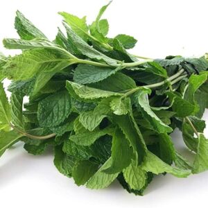 Fresh Pudina (Mint Leaves)