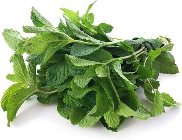 Fresh Pudina (Mint Leaves)