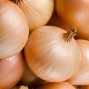 Onion