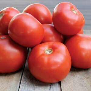 Fresh Tomatoes