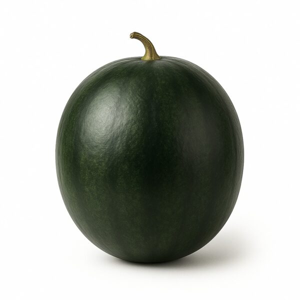 Fresh Black Watermelon ( premium Tarbuj)