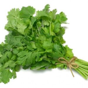 Fresh Coriander (dhaniya)