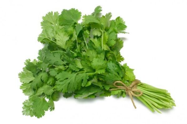 Fresh Coriander (dhaniya)