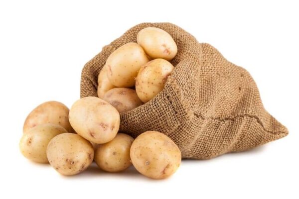 Fresh Potato