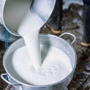 Rich and creamy buffalo milk