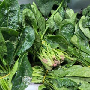 Fresh Spinach Leaves (Palak Bhaji) – Farm Fresh Leafy Vegetable