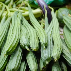 Fresh Ridge Gourd (Turai) – Farm Fresh Green Vegetable