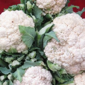 Fresh Cauliflower (Gobi Flower) – Farm Fresh Vegetable