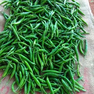 Green chilli very spicy ( Hari mirch Bahut teekha )