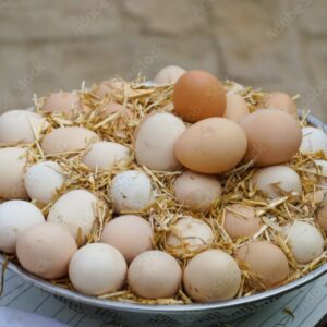 SJ Farm Free Range Eggs (Desi Eggs, Jawari ande, Gauti andi) – Natural & Protein Rich