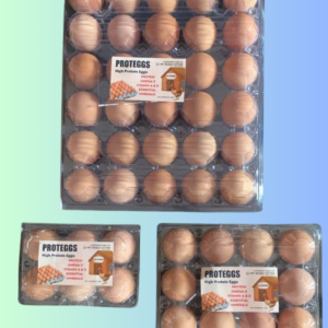Proteggs Brown Eggs – Farm Fresh Premium Brown Eggs by SJ-Farms Products & Exports