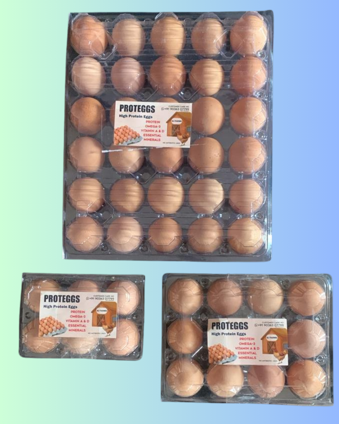 Proteggs Brown Eggs – Farm Fresh Premium Brown Eggs by SJ-Farms Products & Exports