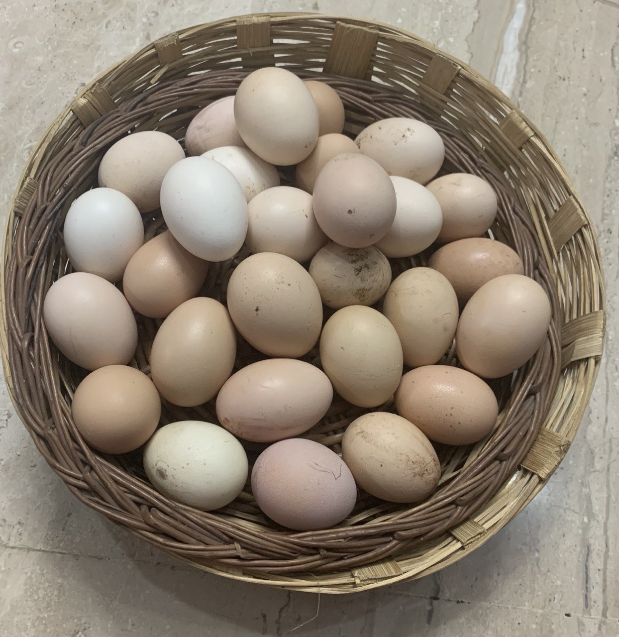 SJ Farm Free Range Eggs (Desi Eggs, Jawari ande, Gauti ande) – Natural & Protein Rich